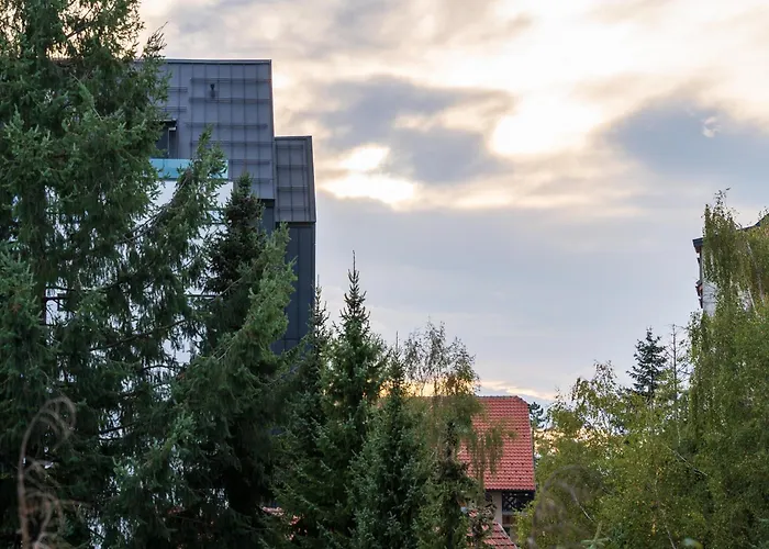 Blue-angel-lux 즐라티보